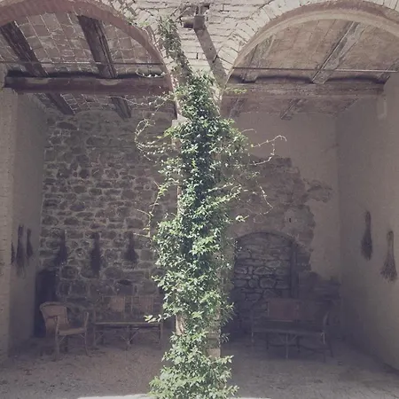 Bed and Breakfast Palazzo Mattei And Charming